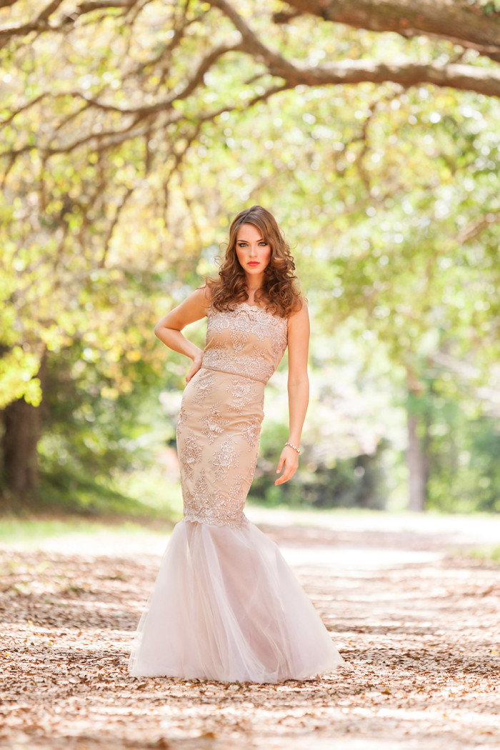Champagne lace gown | Hundreds of Moments Photography see more: https://www.dressforthewedding.com/